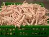 fresh frozen chicken feet