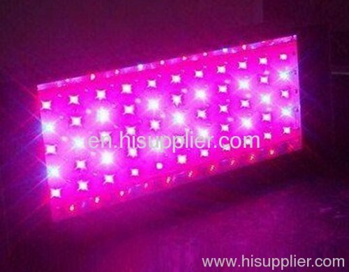 LED grow light
