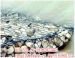 gabion box gabion wire mesh