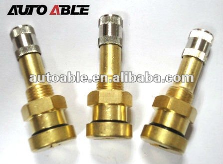 Brass European Style Tire valves
