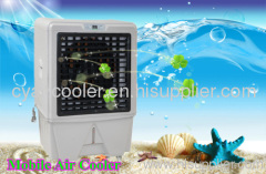 portable air cooling