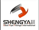 Hebei Shengya Pipe Fittings Co.,Ltd