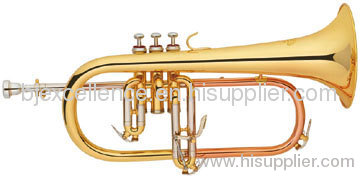 musical instruments importer/buyer/wind instruements seller