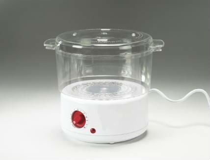 Electric Food Steamer