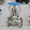 GB flange globe valve