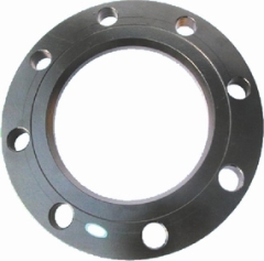 Metal Flange