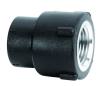 HDPE Female Threaded Adaptor With Brass Insert