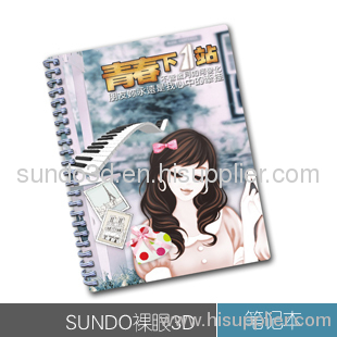 3D Notebook & Diary