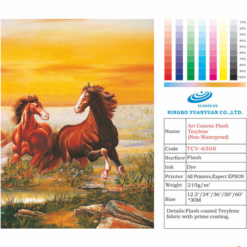 Art Canvas Flash Terylene