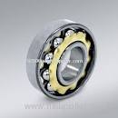 6000-Z High Precision & High Quality Deep Groove Ball Bearing