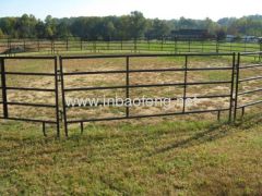 Bronc Buster Round Pen