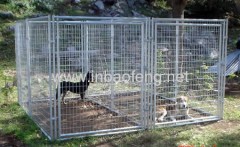 steel dog crate