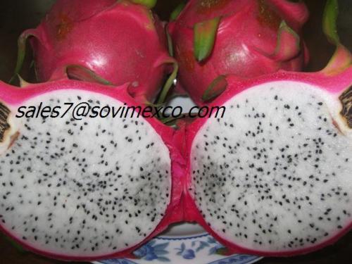 Dragon fruit