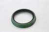 Project mechanical oil seal