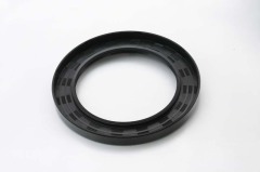 Project mechanical oil seal