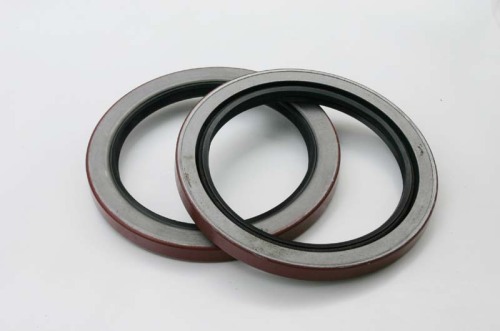 Project mechanical oil seal