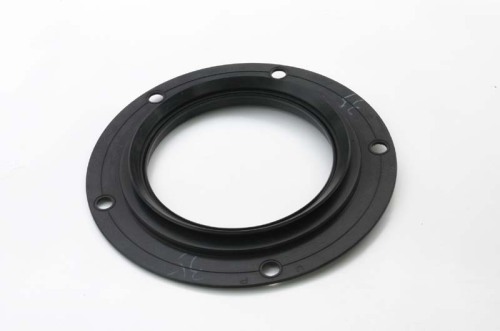 Project mechanical oil seal