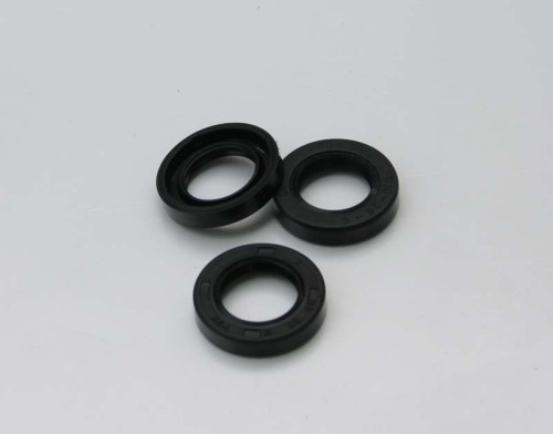 Project mechanical oil seal