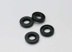 Project mechanical oil seal