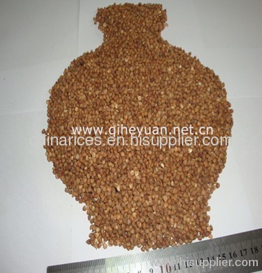 Roasted Buckwheat Kernel