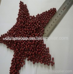 adzuki bean