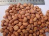 peanut kernal round shape