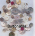 Shell Button,Agoya,River Shell Button