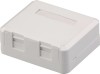 2 Ports RJ45 Socket with Keystone Jack