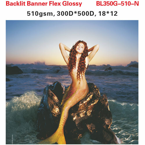 Self Adhesive Vinyl Backlit Banner Flex Glossy
