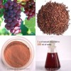 Grape Seed Extract