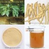 Panax Ginseng Root Extract