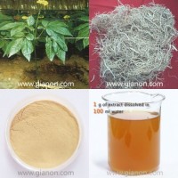 Panax Notoginseng Root Extract