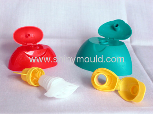 flip top cap mould