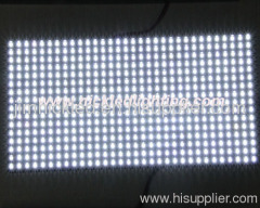 P10 Outdoor LED Module, P10 White Color LED Module (NK-LDMOP10W)