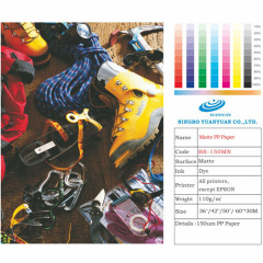 Self Adhesive PP paper