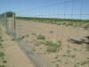 Steel sheep wire mesh fence
