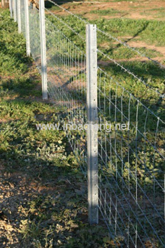 Steel Sheep Fencing