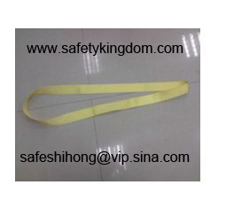 webbing sling /endless webbing sling /2 inch endless webbi