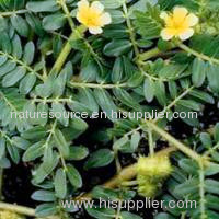 plant extract Saponins