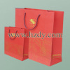 Promotional Paper Bag