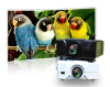 1080p TVprojector(projektor,projecteur,projektori,teilgeoir,projektorius,projetor,projektorn,proiektorea,proyector)