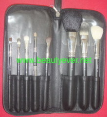 cosmetic brush set