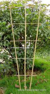 bamboo plant support, plant support