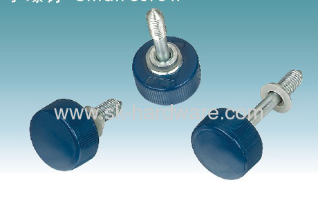 Small screw