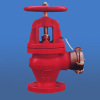 JIS F7333 10K Marine Cast Iron Angle Hose Valves