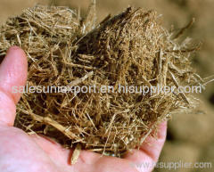 Bagasse/ Fermented bagasse/Non-fermented bagasse/Animal feeding