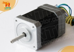 brushless dc motor