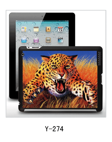 iPad 3d cover pc case