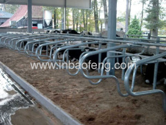 cattle equipment cattle free stal dairy stalll IN-M074