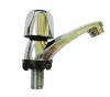 Basin Faucet